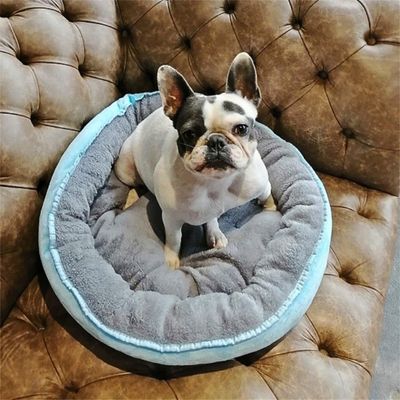 couchage-pour-chien-confort