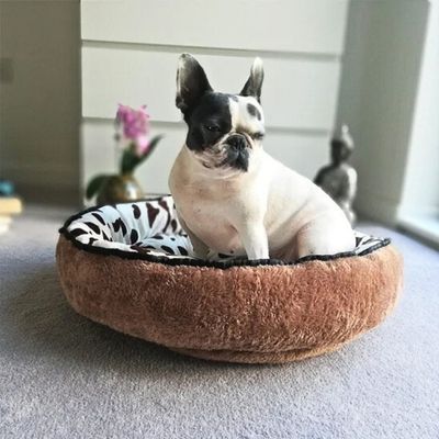 couchage-pour-chien-peluche