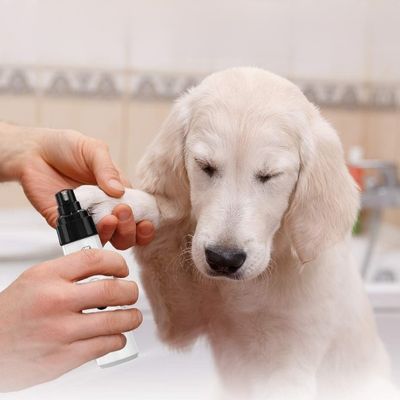 coupe-griffe-chien-securitaire