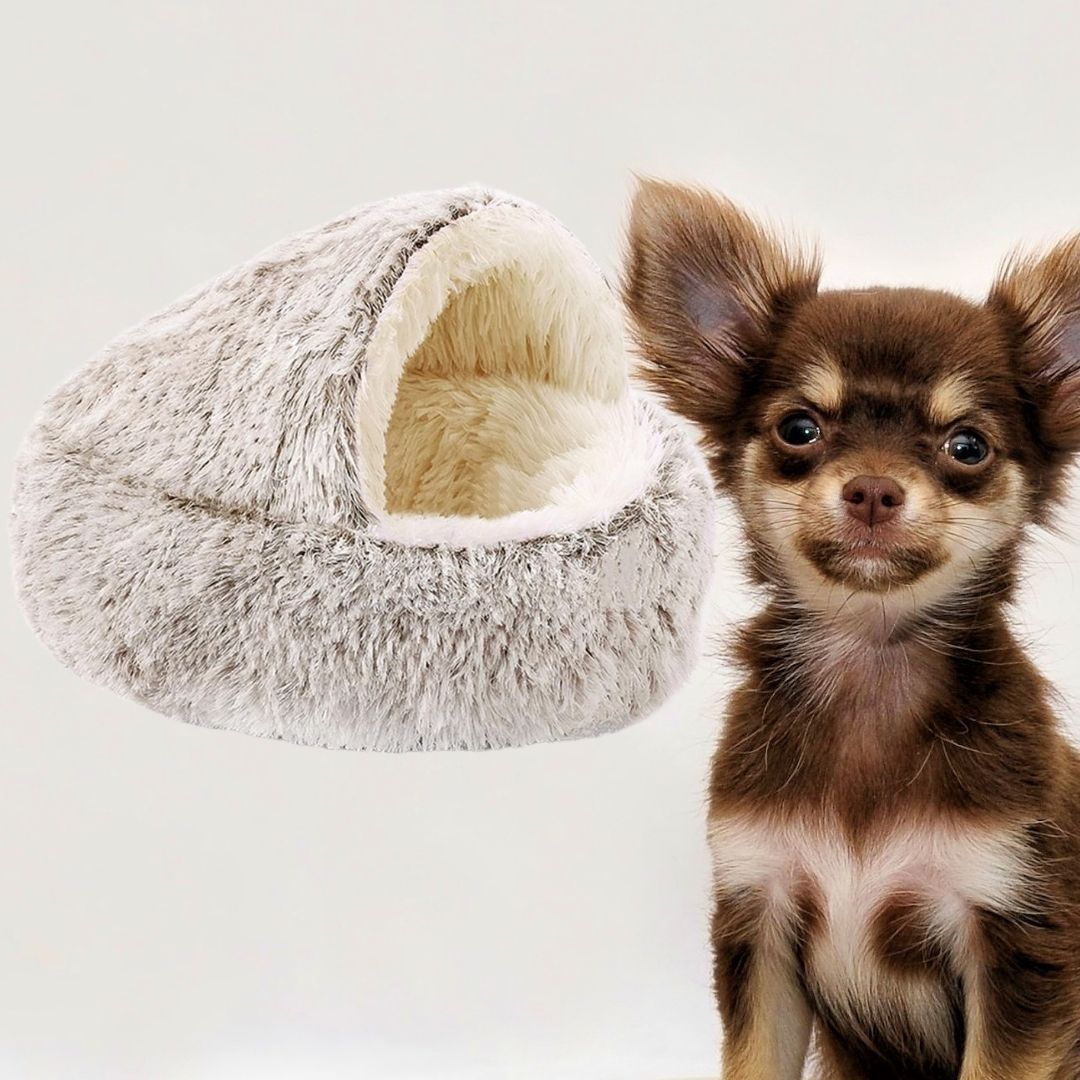 coussin-chien-apaisant-petit