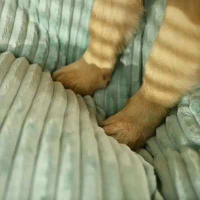 coussin-chien-xxl-douillet