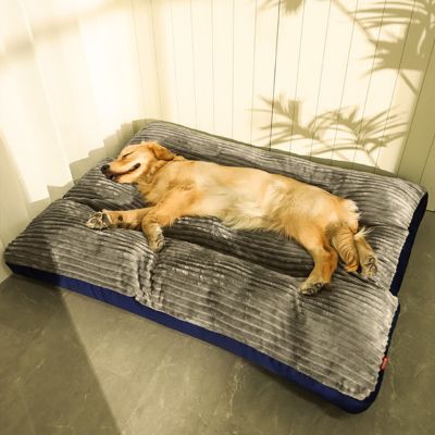 coussin-chien-xxl-gris