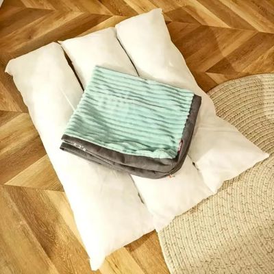 coussin-chien-xxl-oreille