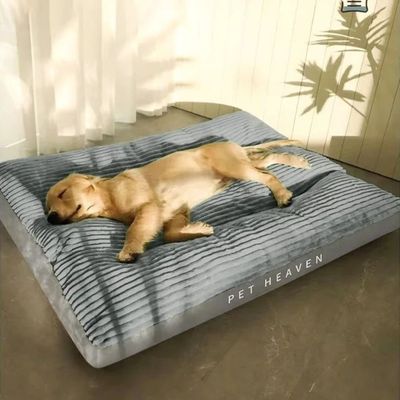 coussin-chien-xxl-serein