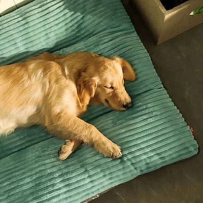 coussin-chien-xxl-sommeil
