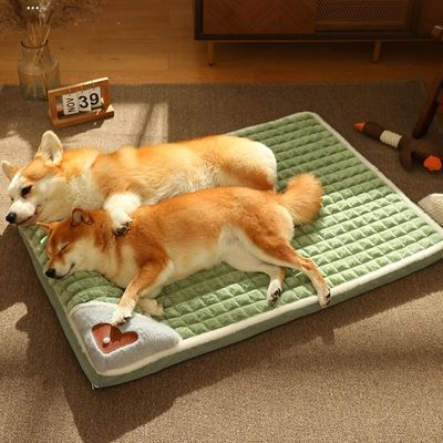 coussin-pour-chien-vert