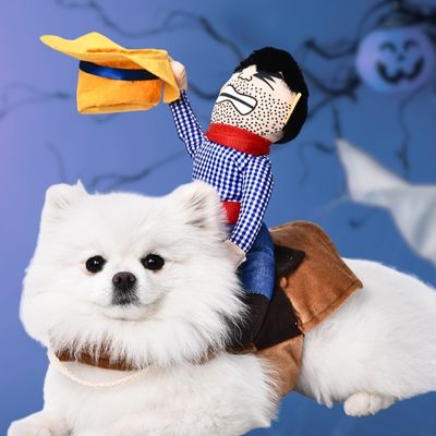 deguisement-pour-chien-amusant