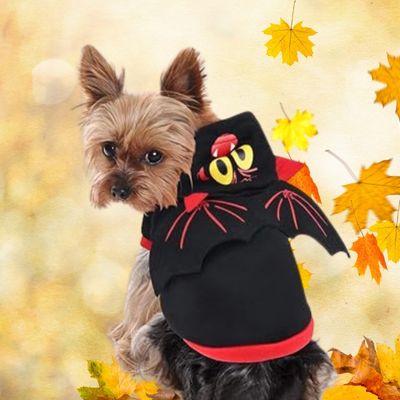 deguisement-pour-chien-chaud