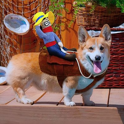 deguisement-pour-chien-confort