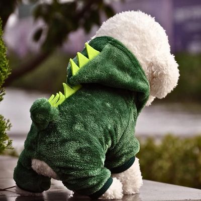deguisement-pour-chien-confortable