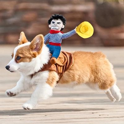 deguisement-pour-chien-course