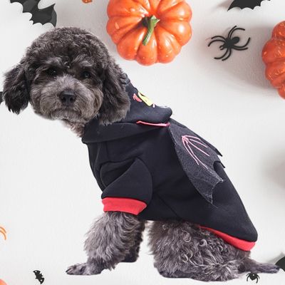 deguisement-pour-chien-douillet