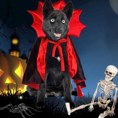 deguisement-pour-chien-dracula