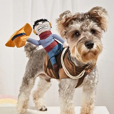 deguisement-pour-chien-fete