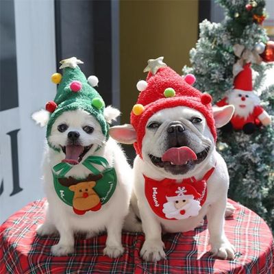 deguisement-pour-chien-leger
