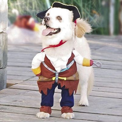 deguisement-pour-chien-qualite
