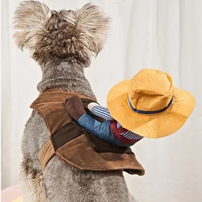 deguisement-pour-chien-tissu