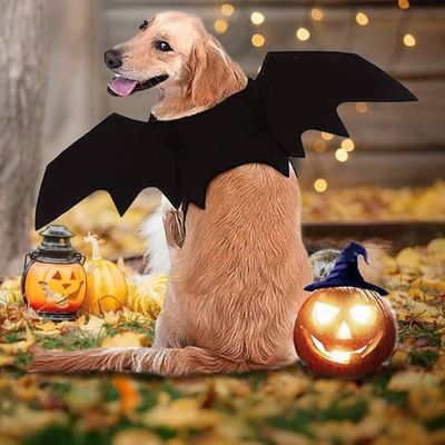 deguisement-pour-chien-velcro