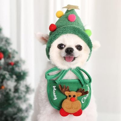 deguisement-pour-chien-vert