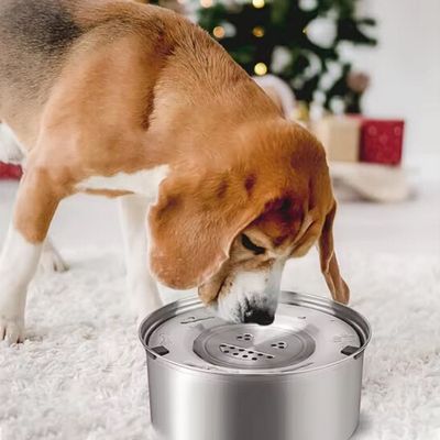 gamelle-chien-anti-eclaboussure-eau