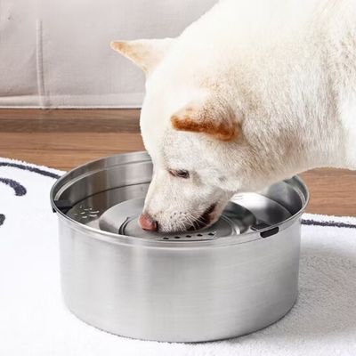 gamelle-chien-anti-eclaboussure-husky