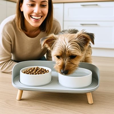 gamelle-chien-satisfait