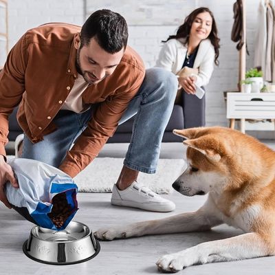 gamelle-inox-chien-croquettes