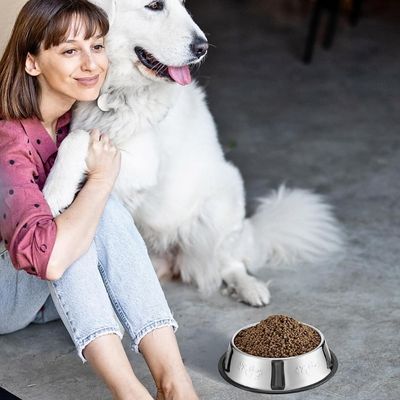 gamelle-inox-chien-solide
