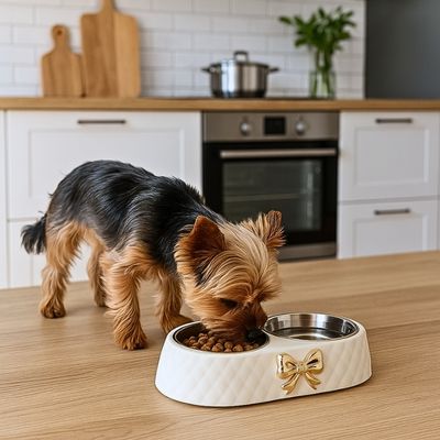gamelle-pour-chien-blanc