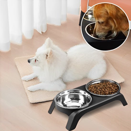 GAMELLES SURELEVEES POUR CHIEN | Essentielle™ - Wouf chien
