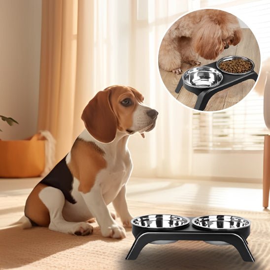 GAMELLES SURELEVEES POUR CHIEN | Essentielle™ - Wouf chien