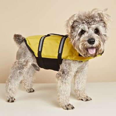 gilet-de-sauvetage-chien-flottaison