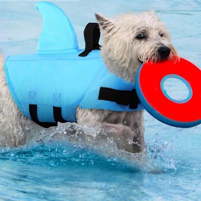 gilet-de-sauvetage-pour-chien-piscine