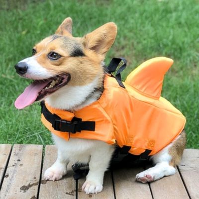 gilet-de-sauvetage-pour-chien-protection
