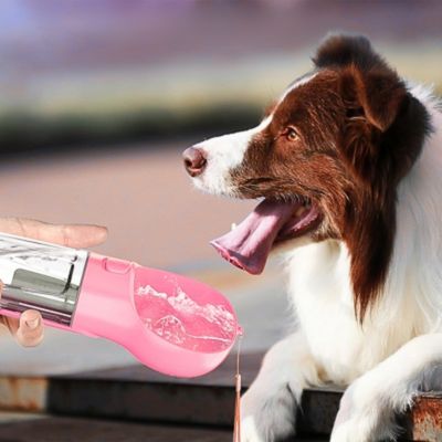 gourde-chien-rose