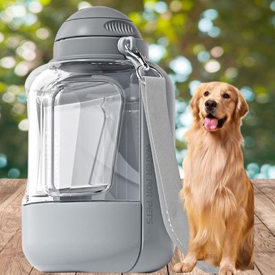gourde-pour-chien-grise