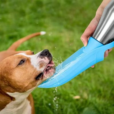 gourde-pour-chien-inox-soif