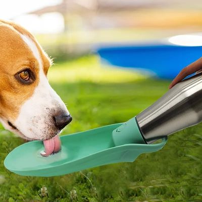 gourde-pour-chien-inox-vert