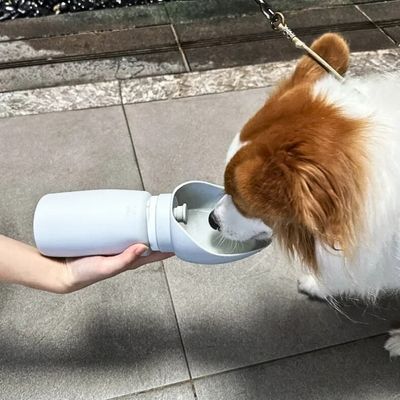 gourde-pour-chien-legere