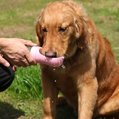 gourde-pour-chien-legere