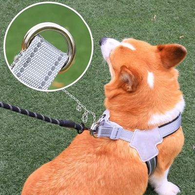 harnais-chien-attache