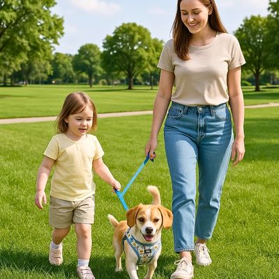 harnais-chien-parc