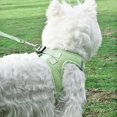 harnais-petit-chien-aere