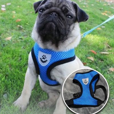 harnais-petit-chien-lavable
