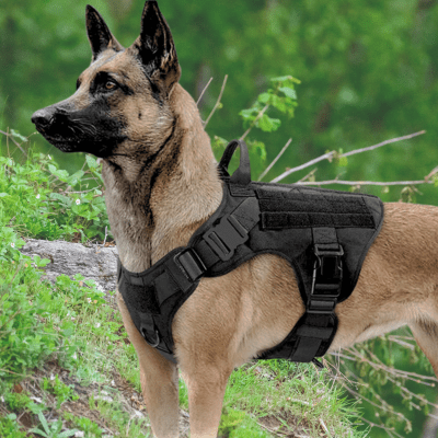 HARNAIS TACTIQUE CHIEN | Miltar™ - Wouf chien