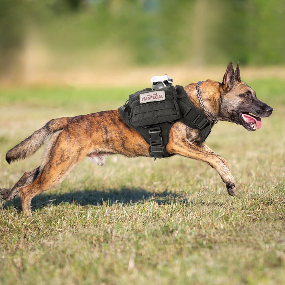 HARNAIS TACTIQUE CHIEN | Miltar™ - Wouf chien
