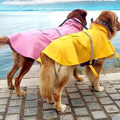 impermeable-pour-chien-confortable