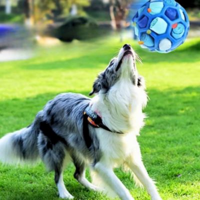 jouet-chien-bleu