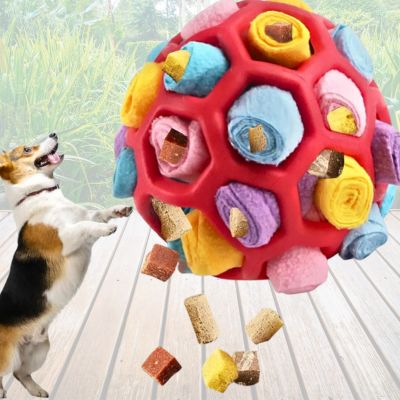 jouet-chien-bonheur