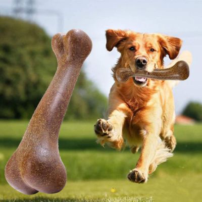 jouet-chien-durable